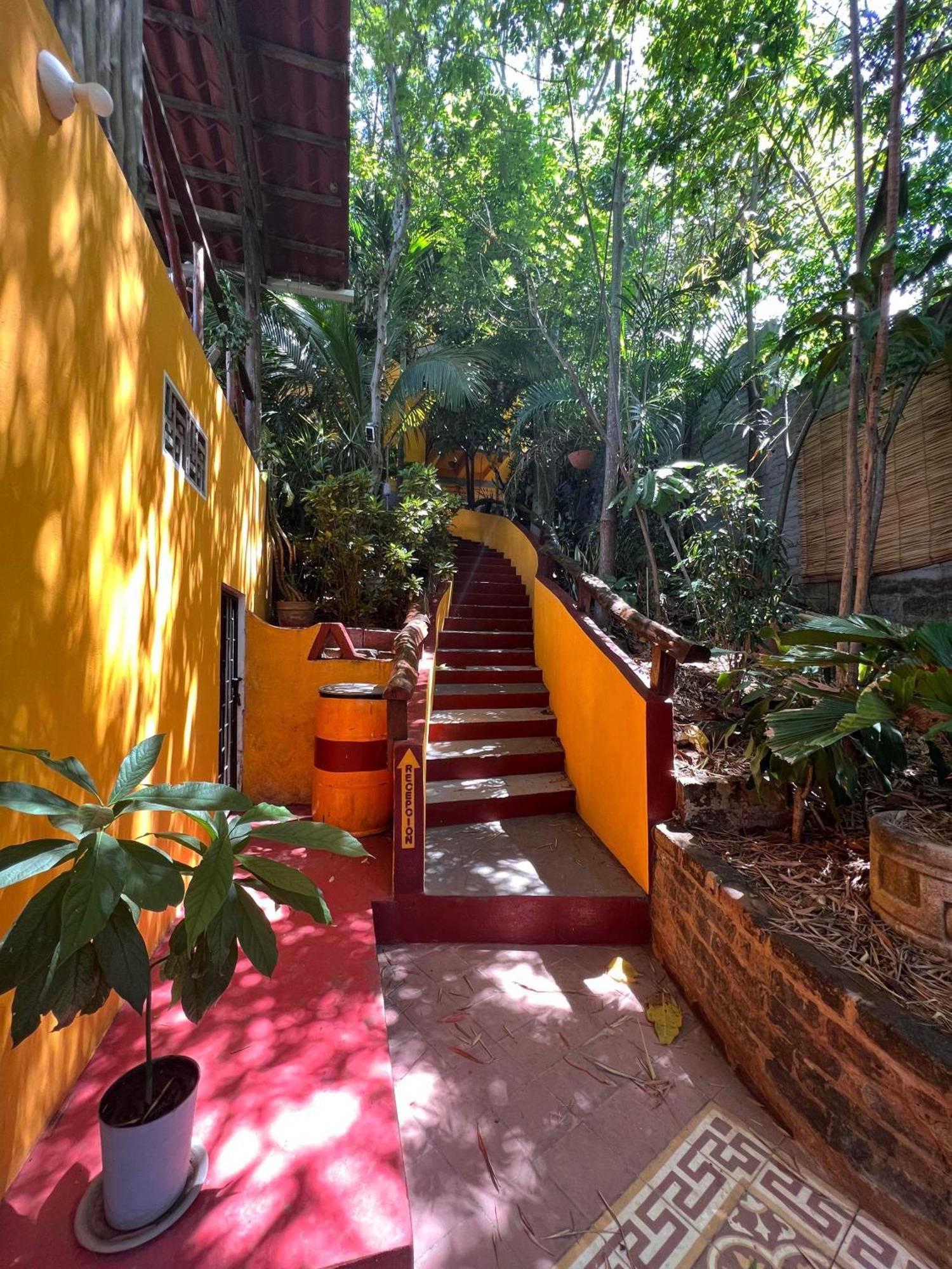 Отель Buena Onda Backpackers Сан-Хуан-дель-Сур Экстерьер фото